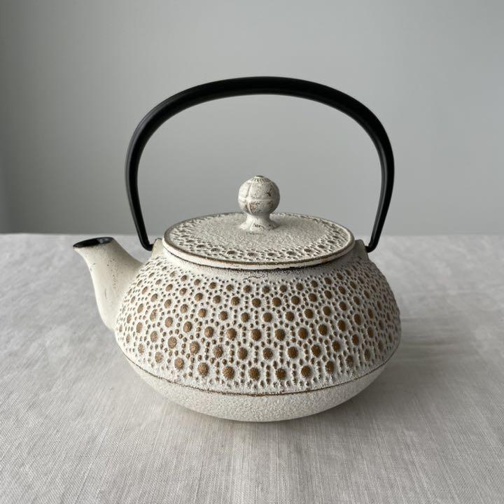 完璧 急須 南部鉄器 鉄瓶 アンシャンテ カモミール No.5 - 調理器具 - www.smithsfalls.ca 完璧 急須 南部鉄器 鉄瓶 アンシャンテ カモミール No.5 - 調理器具 - www.smithsfalls.ca