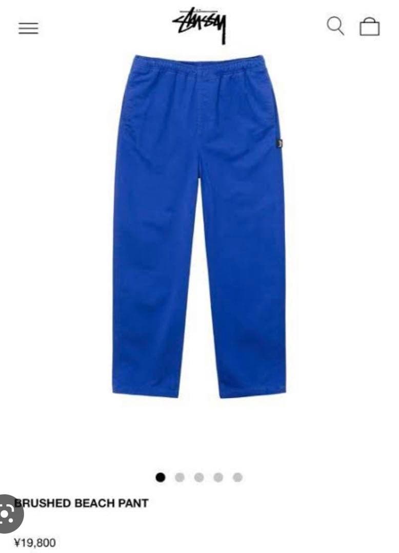 2021春夏新作】 STUSSY ステューシー BRUSHED BEACH PANT