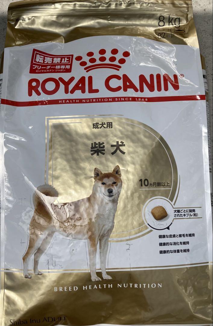 5月30日発送 ロイヤルカナン 柴犬 8kg