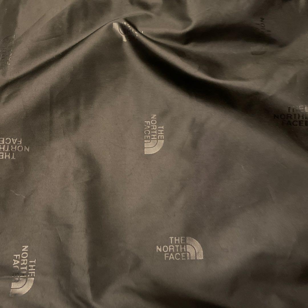 THE NORTH FACE Mountain Light Jacket ノース