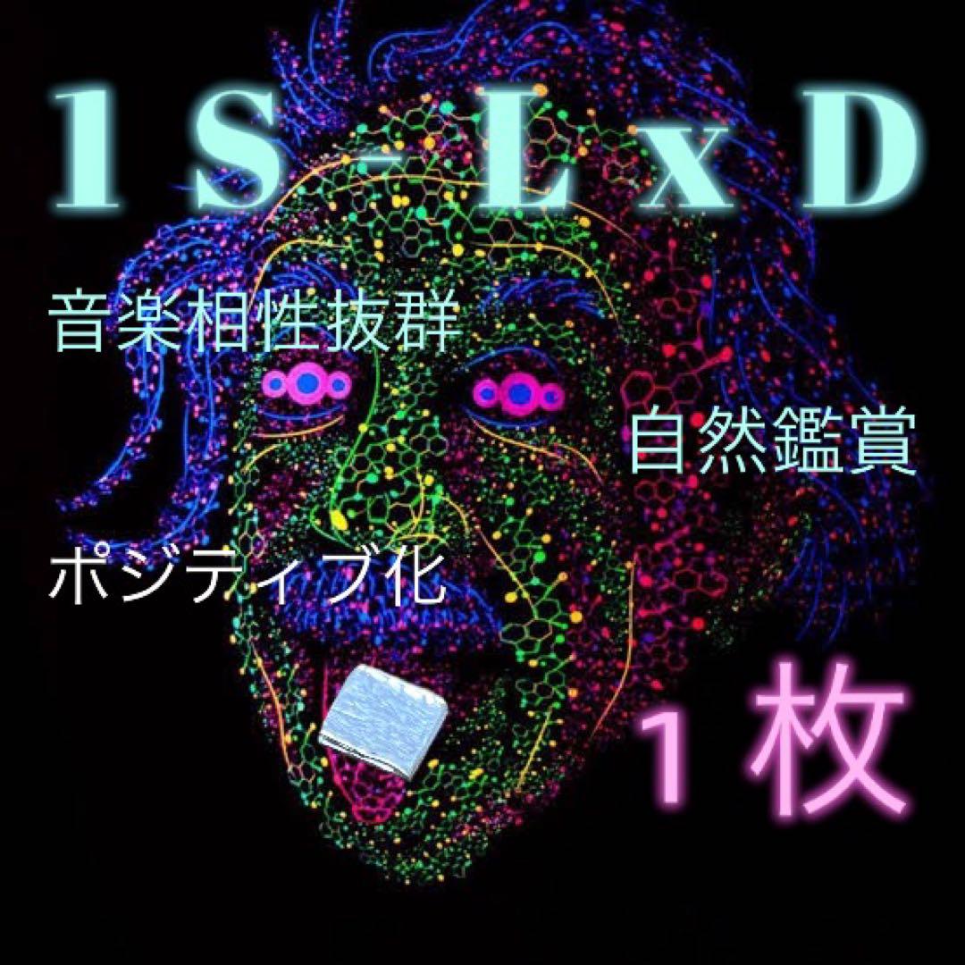 「上級者向け1Sブロッター」CBP CBN PHC CRDH THXE 上級者向け1Sブロッター」CBP CBN PHC CRDH THXE