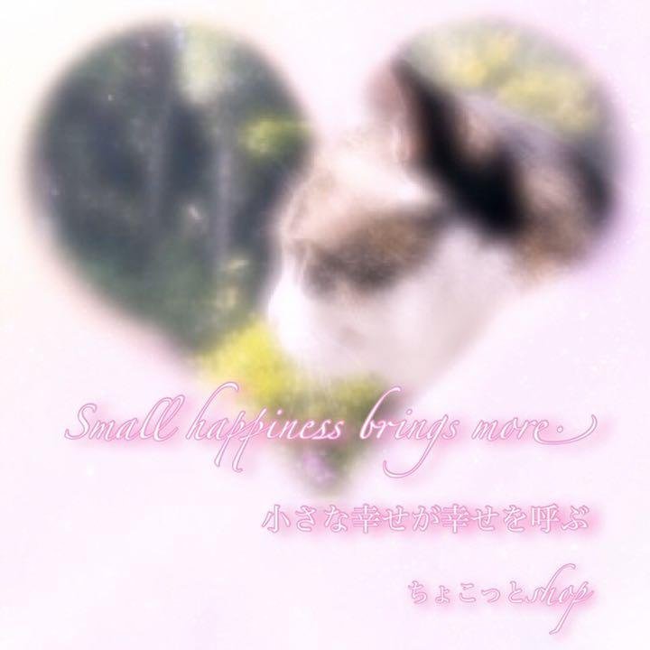 ねこC ベビーヘアクリップ 画像8