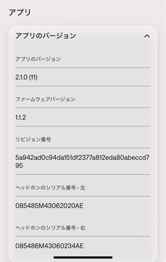 Bose QuietComfort Earbuds 完全ワイヤレスイヤ