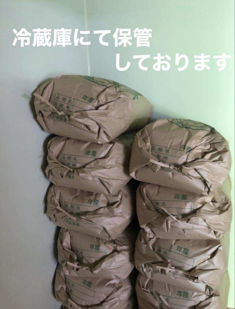 ノリミルキークイーン玄米10キロ