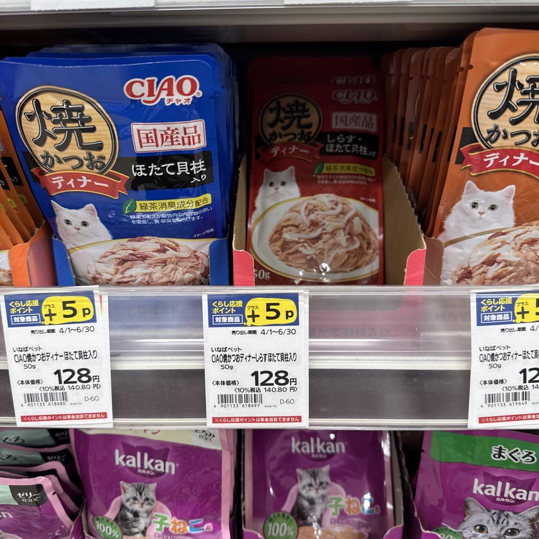 猫B 画像1