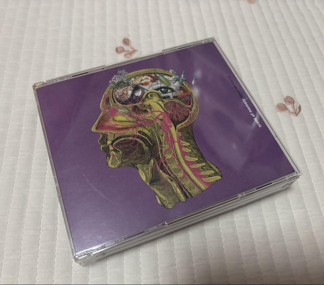 scent of memory SEKAI NO OWARI 3枚組