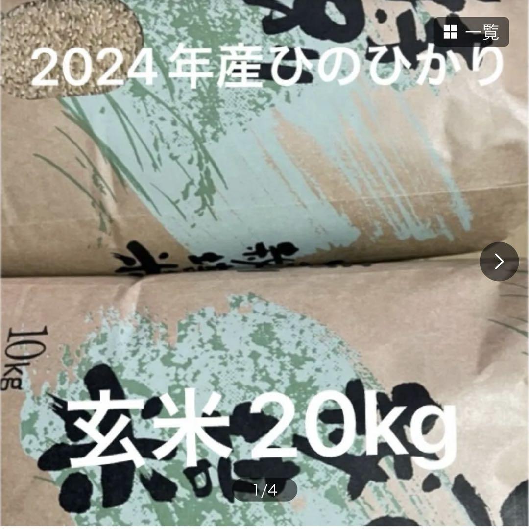 2024年産ヒノヒカリ玄米20 ｋｇ 【送料無料】
