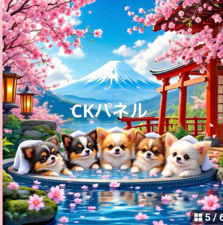 露天風呂チワワ柄3|7