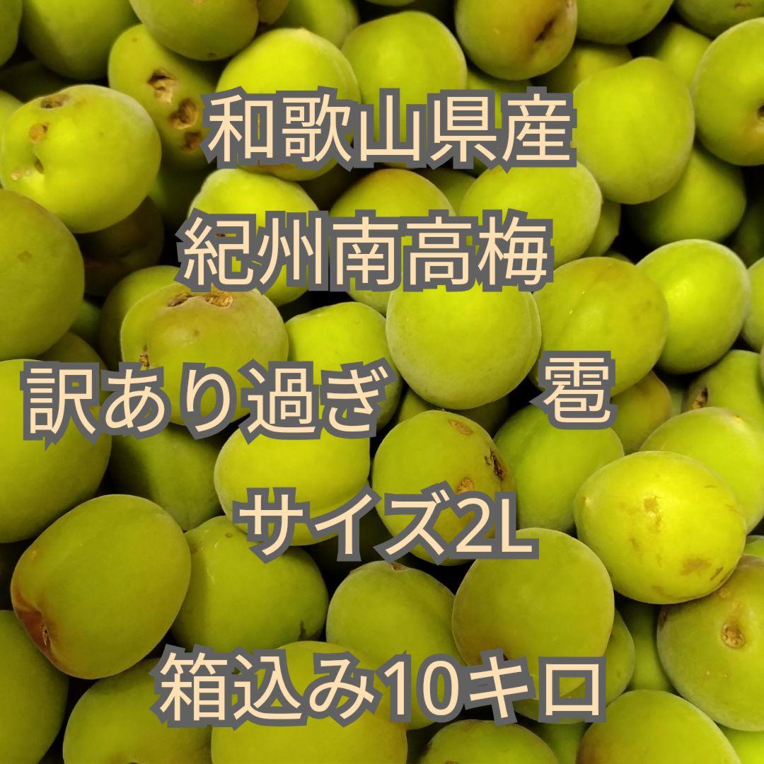 和歌山県産　紀州南高梅　サイズ2L　訳あり過ぎ　雹被害　箱込み10キロ　青梅