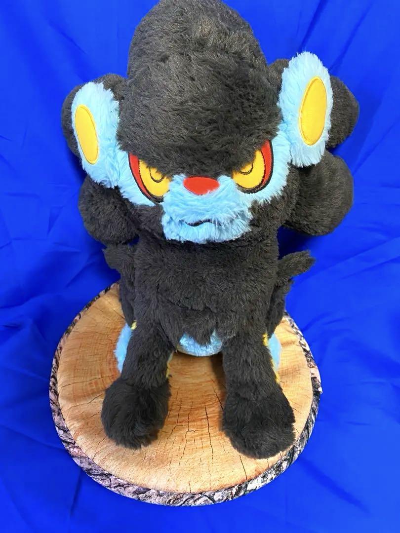 ぬいぐるみ MY RENTORAR'S STORY レントラー ポケモンセンター