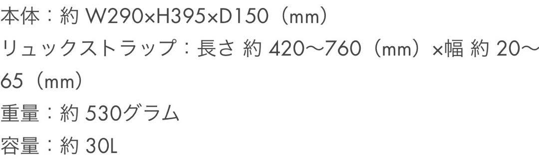 ノースフェイス　キッズ　リュック　サニーキャンパー30