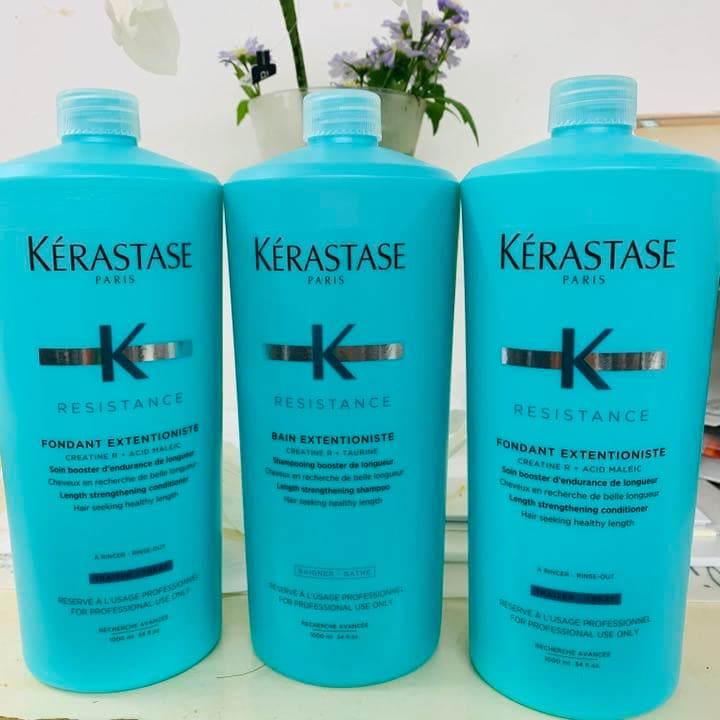 ケラスターゼREバンETN×2 フォンダンETN×2 1000ml | www.mclegal.info