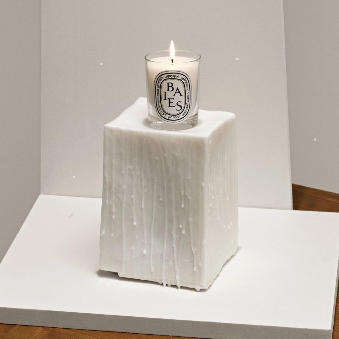 DIPTYQUE BAIES キャンドル べ 190g　②
