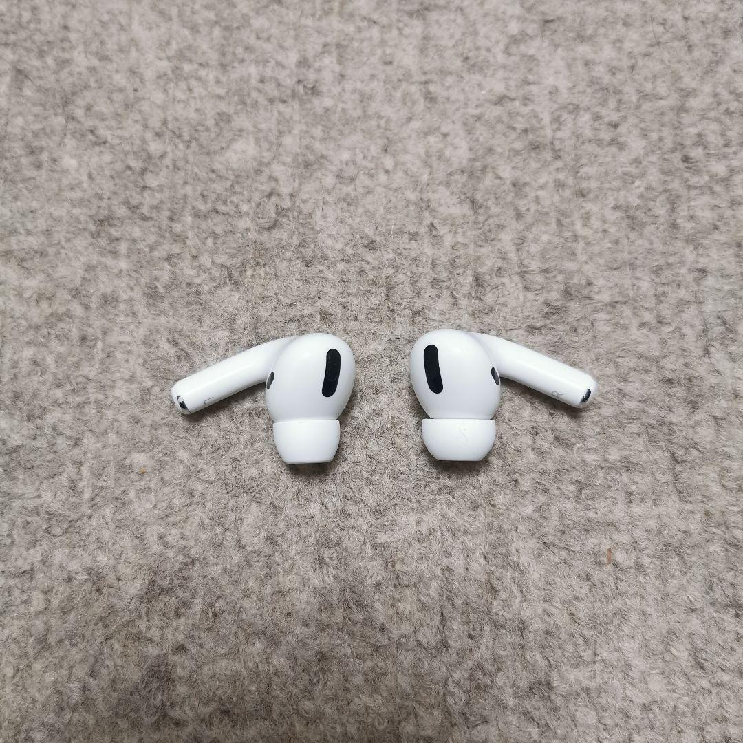 AirPods Pro / 第一世代 ダストガード エアーポッズ ケース