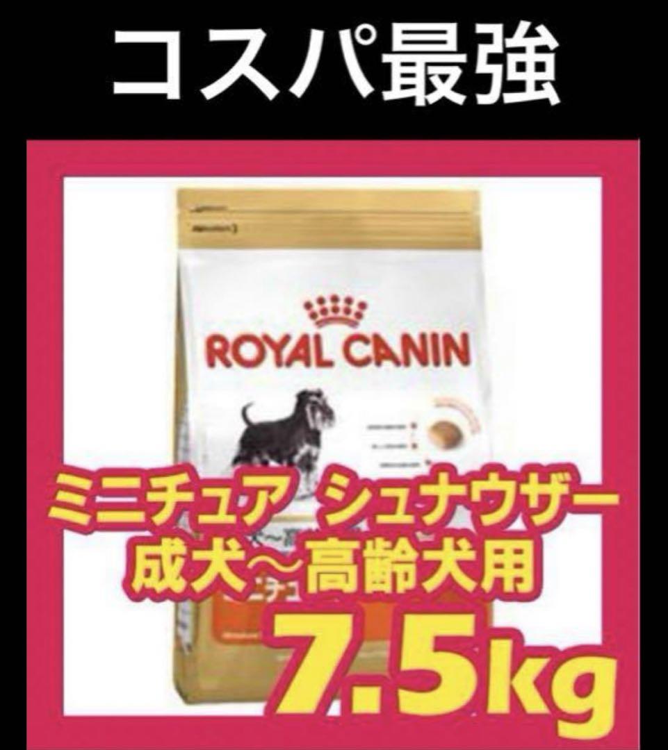 一個 CANIN ミニチュアシュナウザー 7.5kg