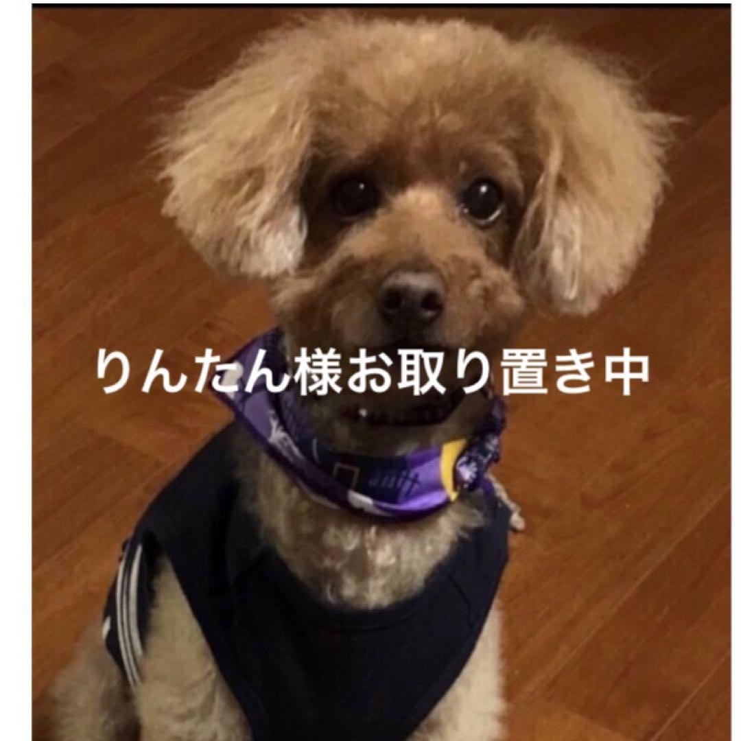 りんたんさんご専用
