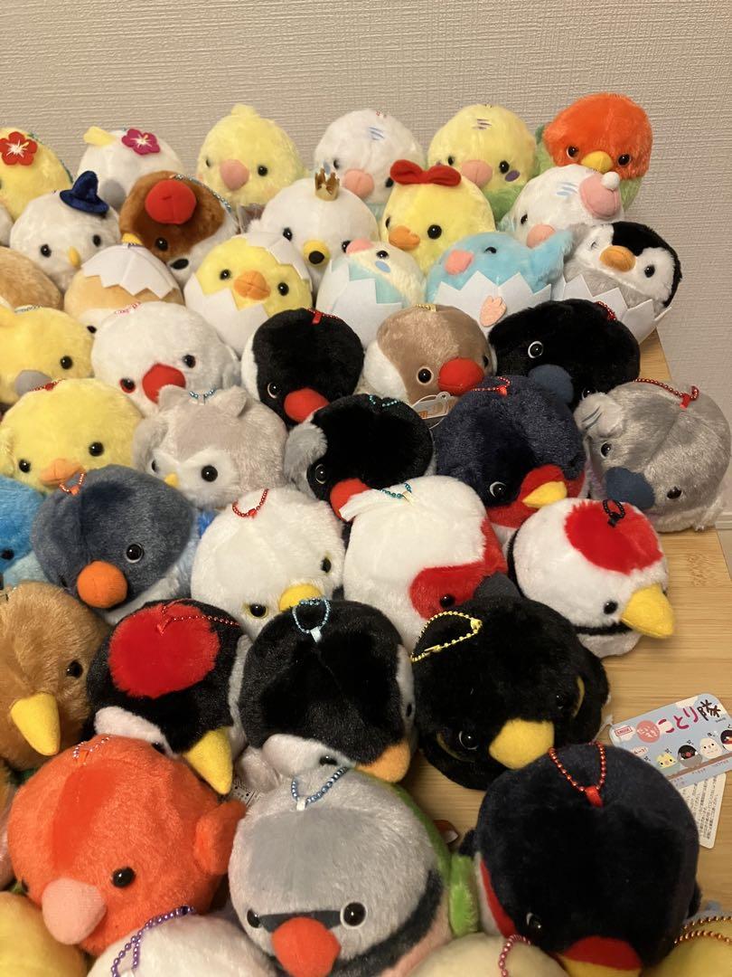 ことり隊　LMC コンプリートセット