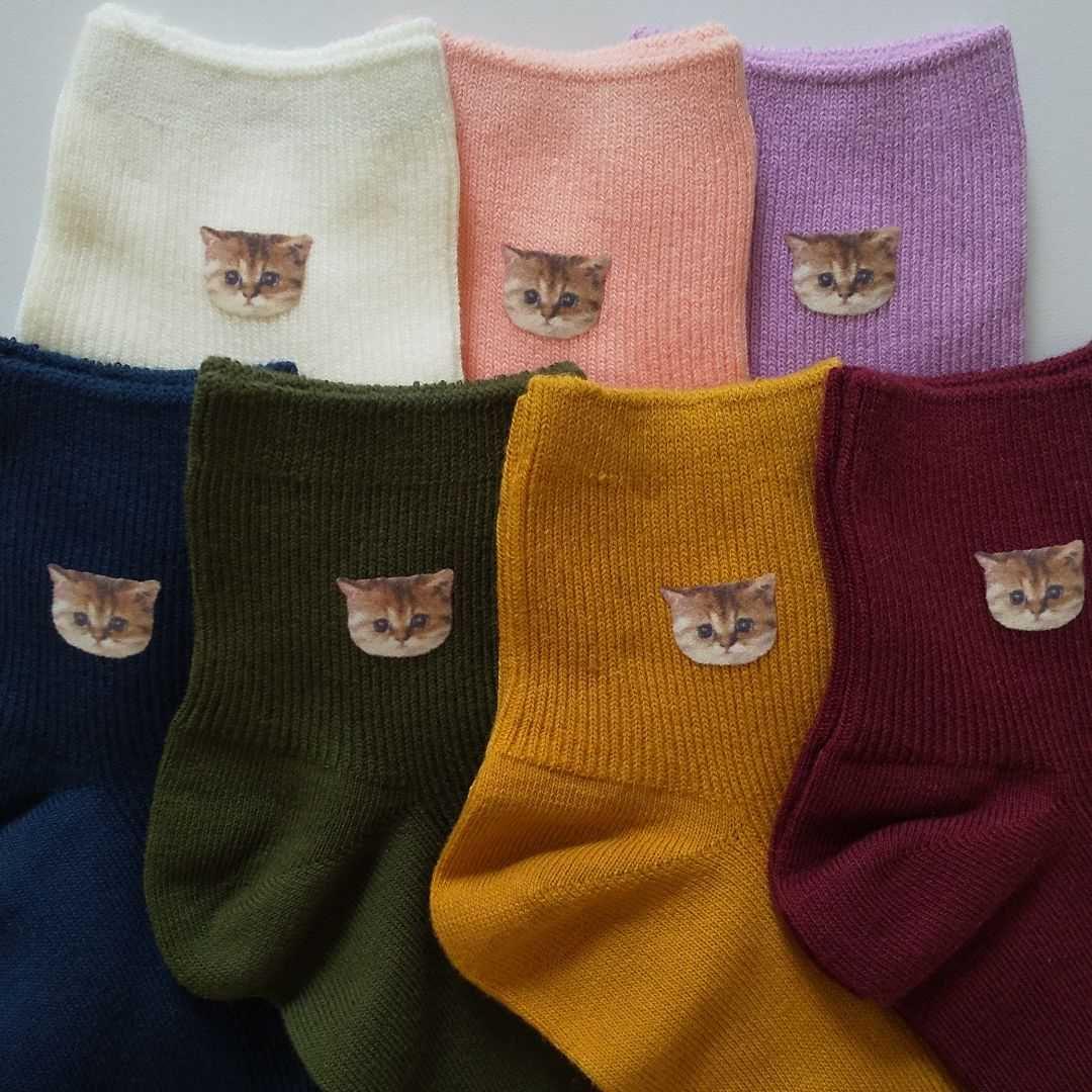 人気豊富な ポール&ジョー ヌネット❣️ ソックス ねこ ネコ 猫 = ェ = 7点 NA1Mn-m75846008606 お得安い
