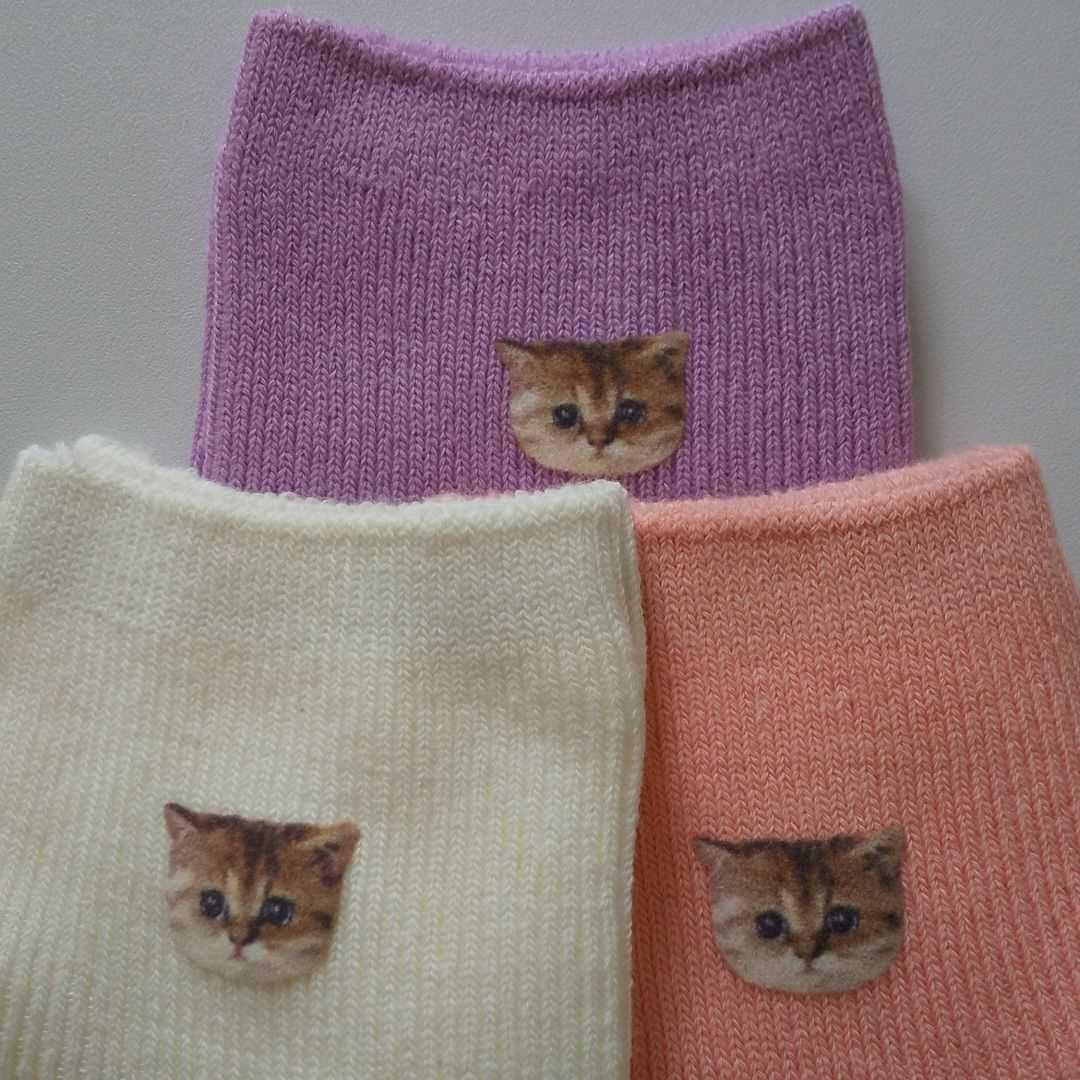 人気豊富な ポール&ジョー ヌネット❣️ ソックス ねこ ネコ 猫 = ェ = 7点 NA1Mn-m75846008606 お得安い