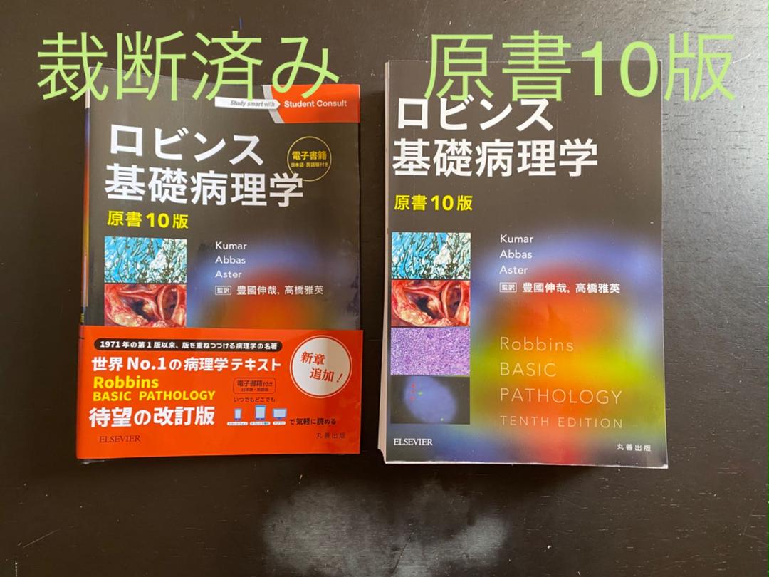 人気の新作 ロビンス基礎病理学 - その他 - alrc.asia 人気の新作 ロビンス基礎病理学 - その他 - alrc.asia