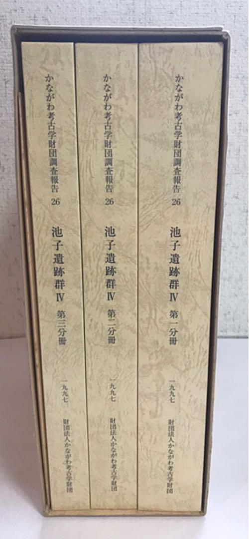 池子遺跡群 Ⅳ