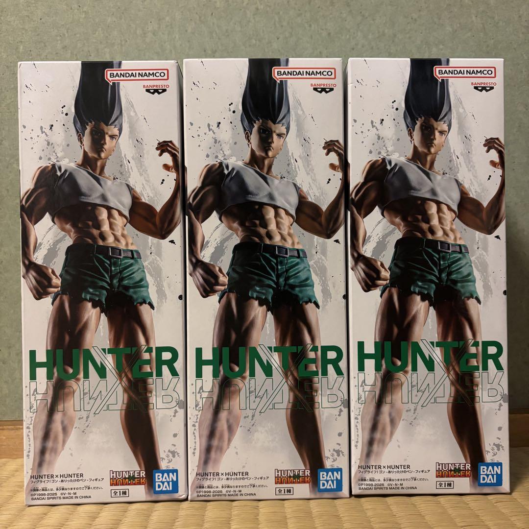 HUNTER×HUNTER ゴンさん　ボールペン　フィギュア　フィグライフ　2点 HUNTER × HUNTER ゴンさん フィギュア ボールペン フィグライフ