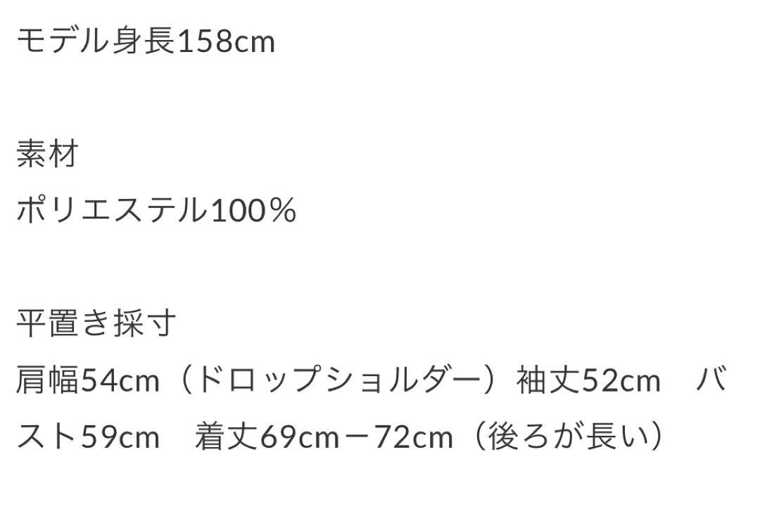 blate ニュアンスシンプルシアーシャツ　新品未使用