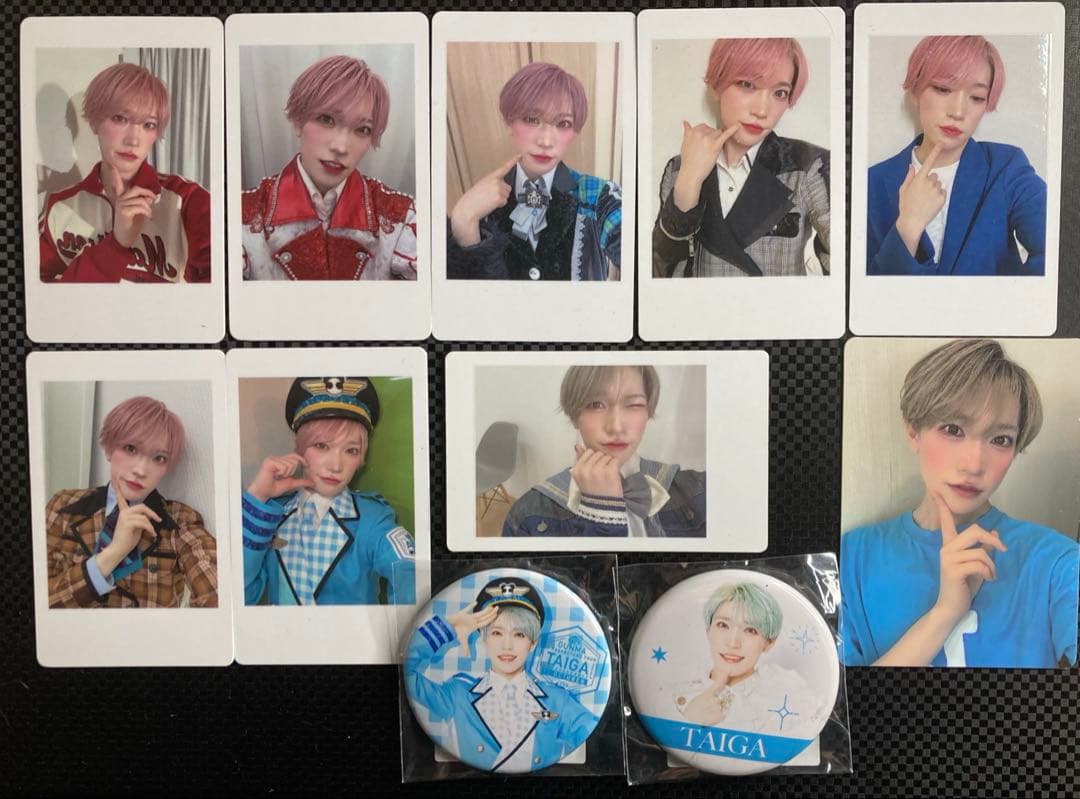 パンダドラゴン パラゴン たいが セット