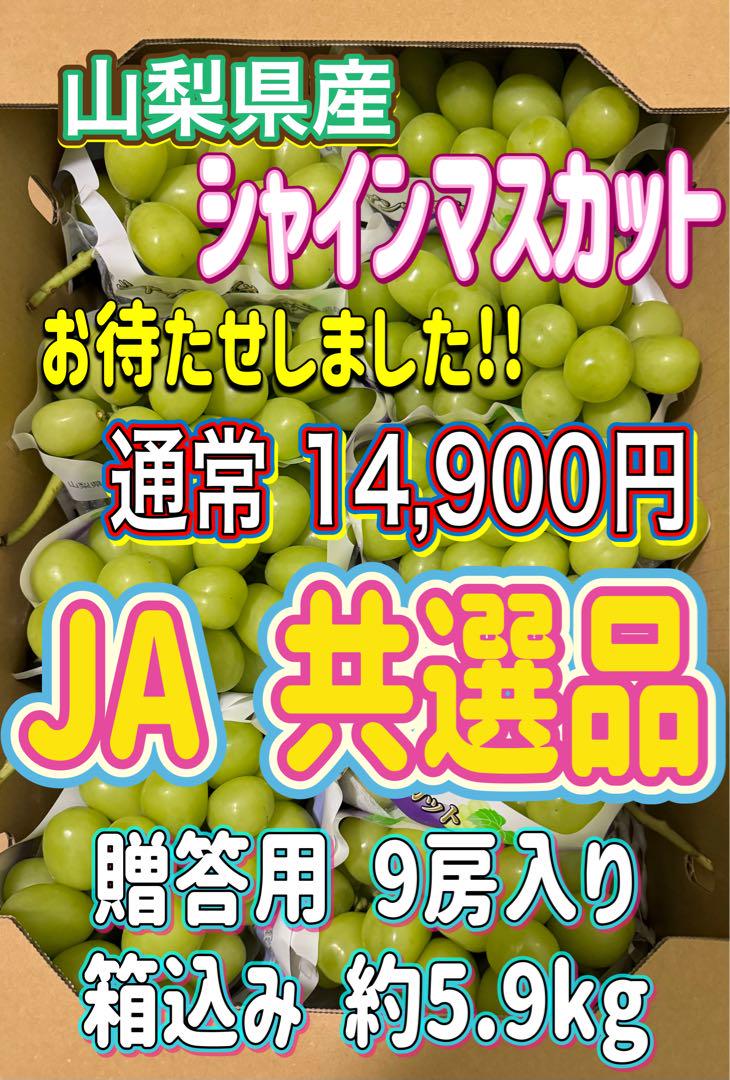 山梨県産ぶどう⭐️シャインマスカット⭐️贈答用 共選品⭐️9房入り 箱込み約5.9kg