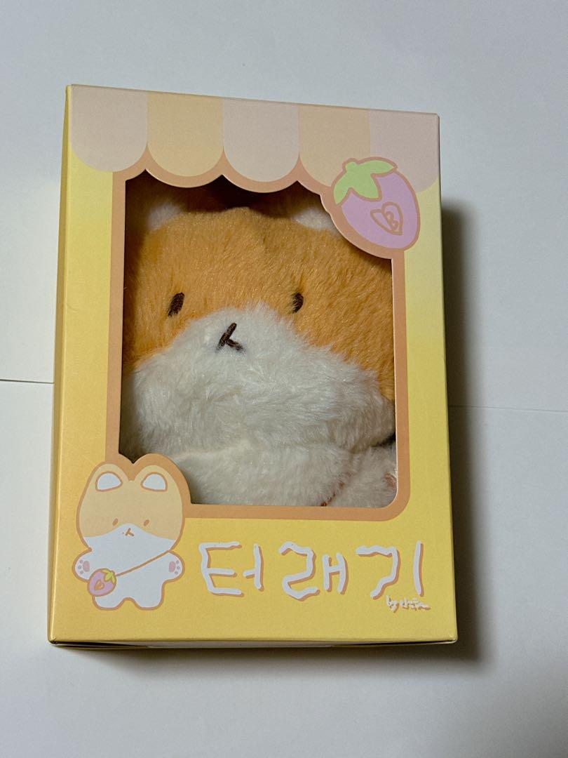 ベッキョン トレギ 20cm TEOLAEGI アイドル