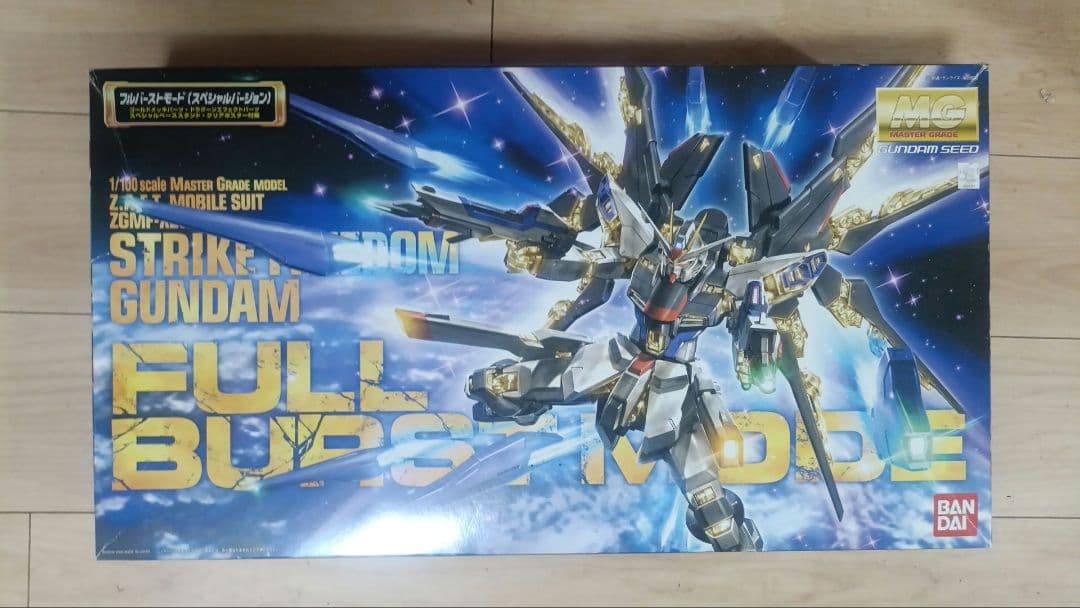 1|100 MG ZGMF-X20A ストライクフリーダム フルバーストモード機動戦士ガンダム