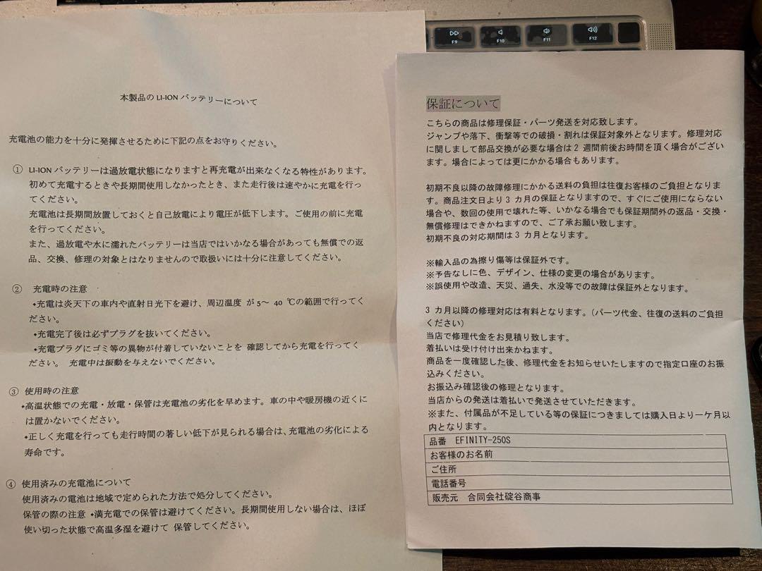 EFINITY 250S 電動スケートボード