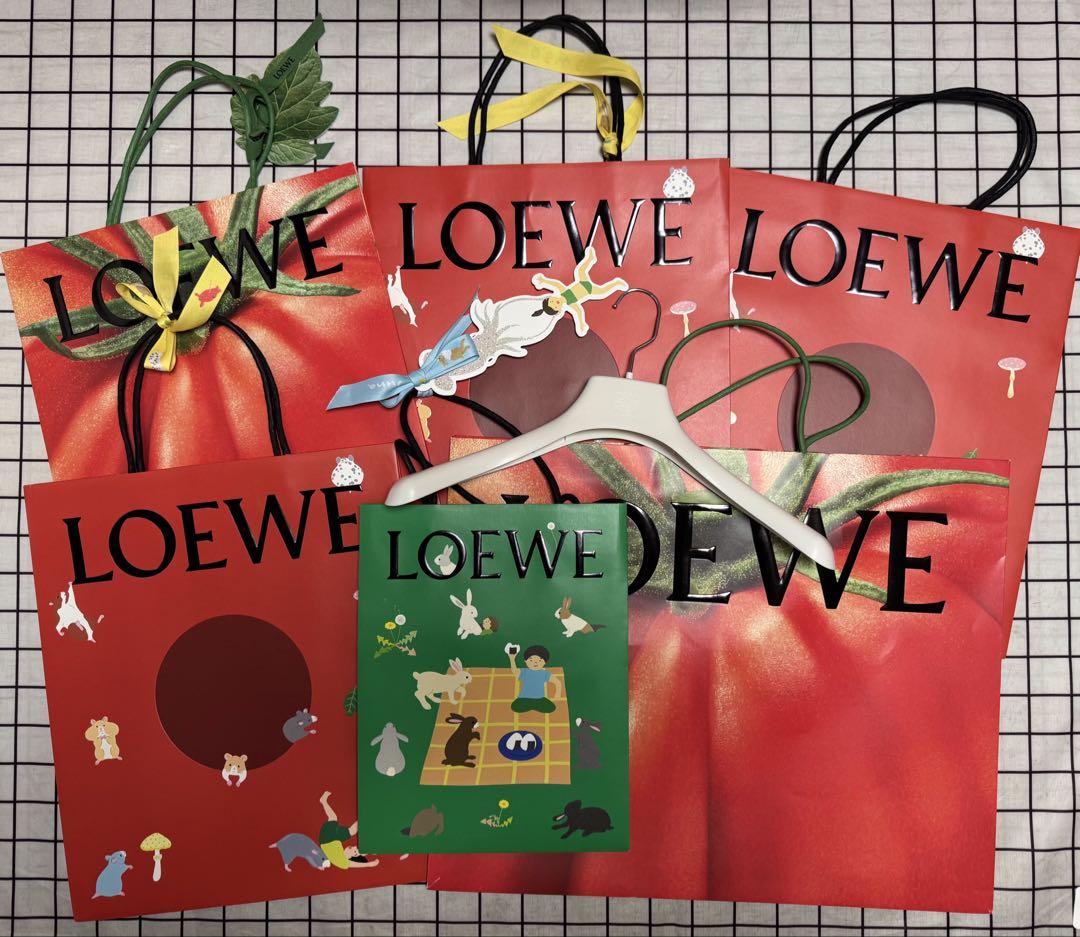 LOEWE ハンガー　紙袋 ショッパー　6点