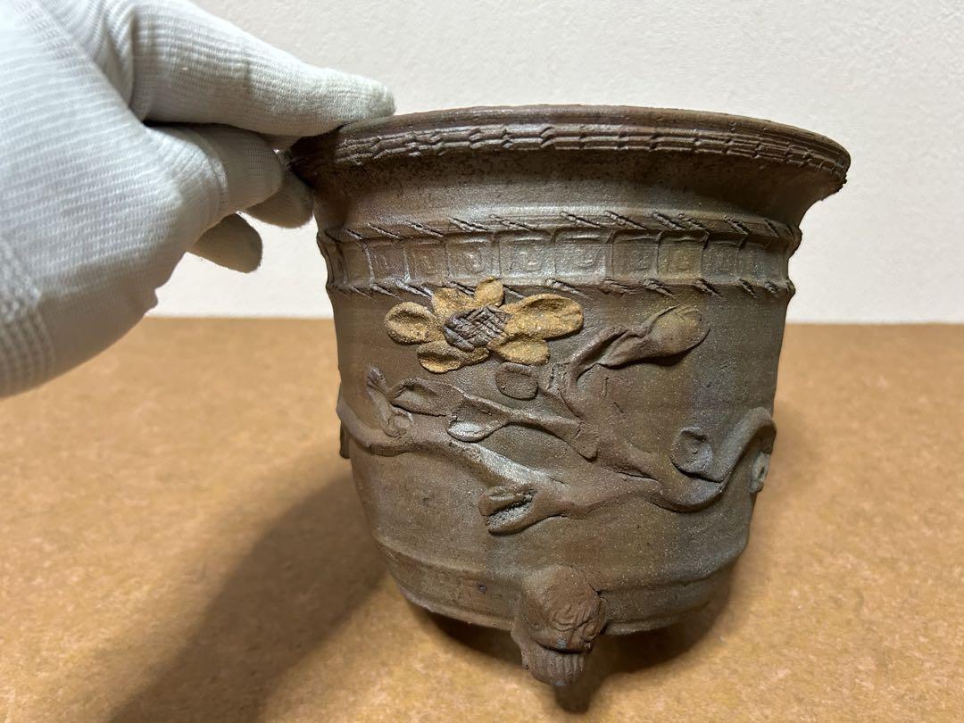 丹山　山野草鉢　小品盆栽　多肉植物　塊根植物