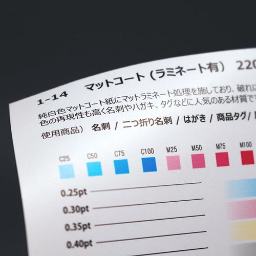 セミオーダー!プロのデザイナーが作る商業印刷の高品質名刺両面100枚/Y0074