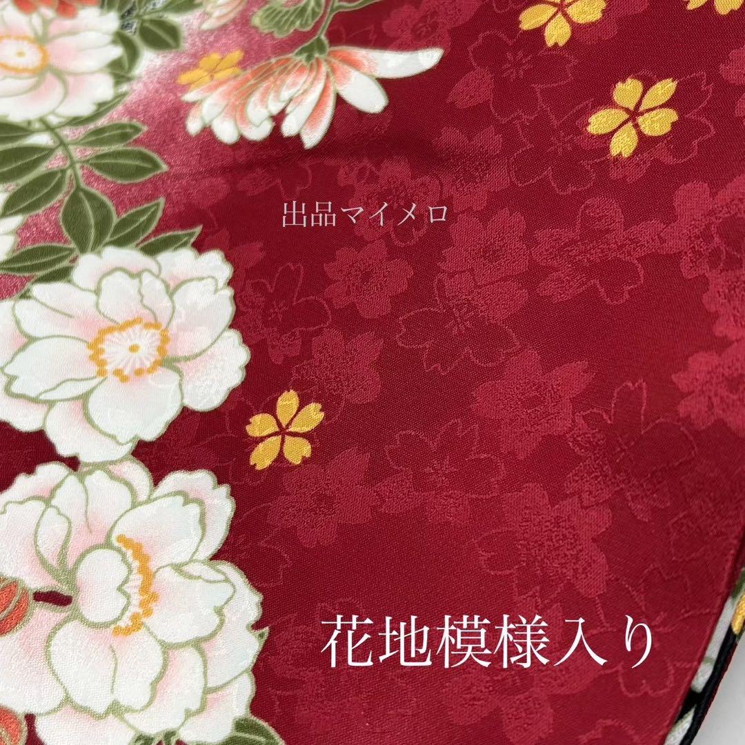 袴セット NO6
