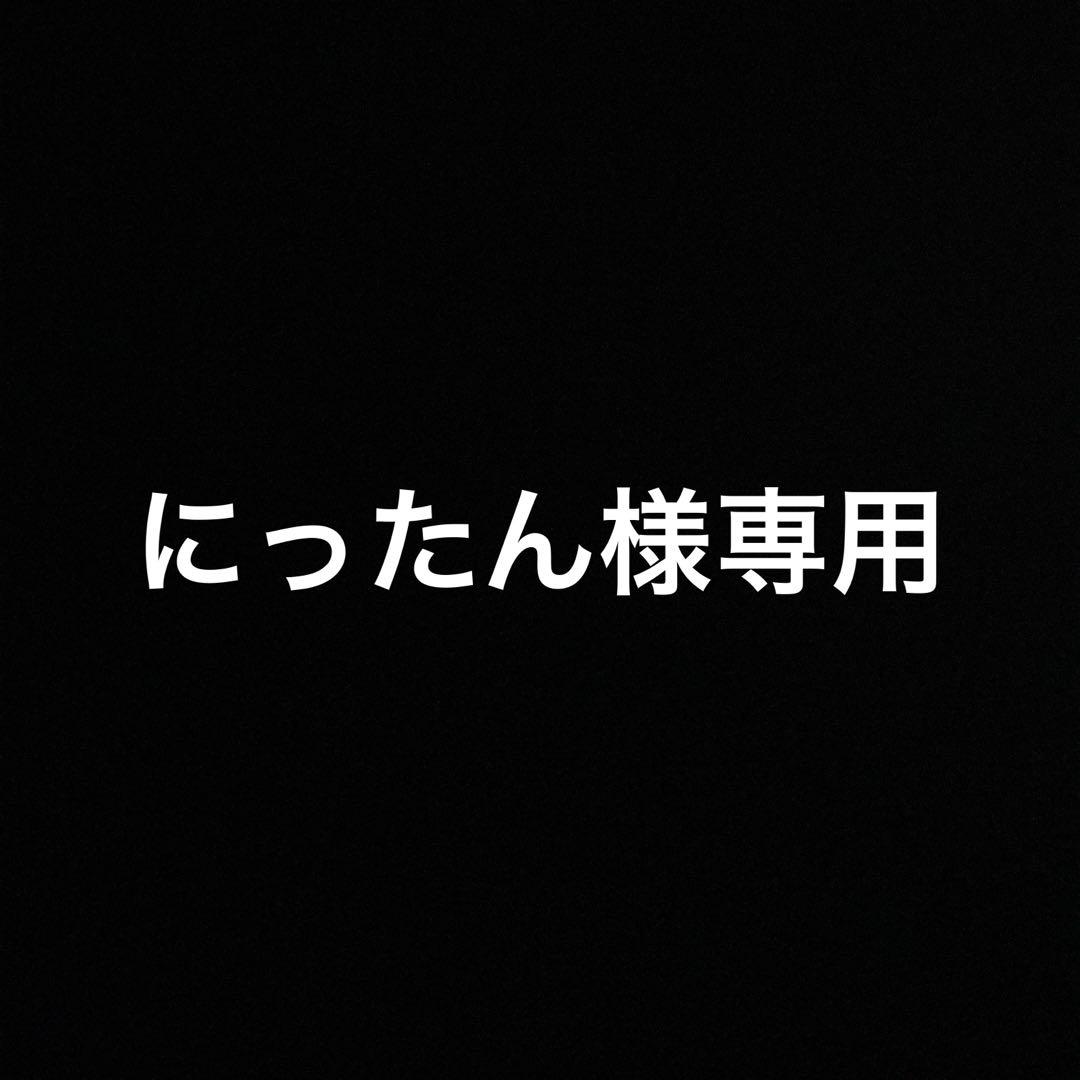にったん様ケイトレアペイント2個