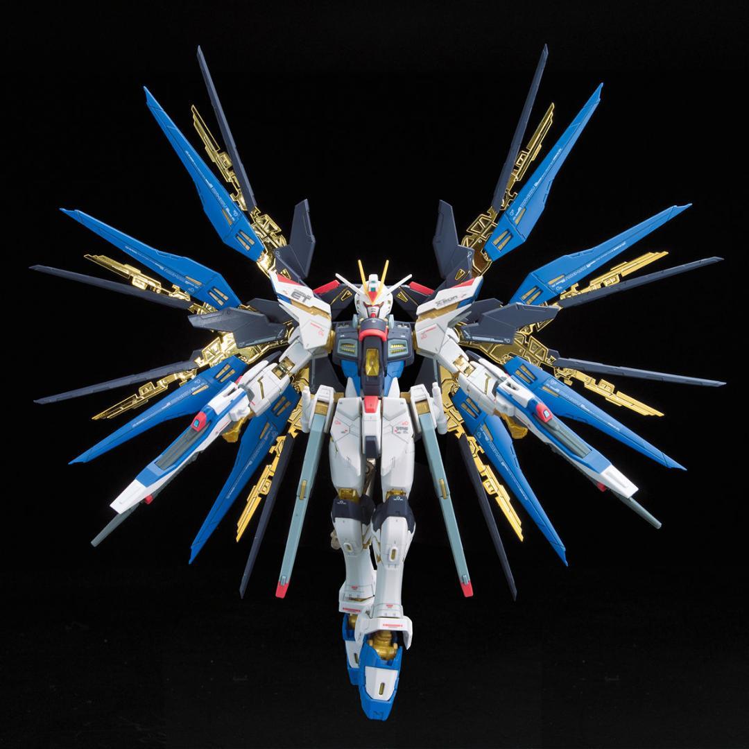 【2品セット】RG デスティニーガンダム／ストライクフリーダム【新品】