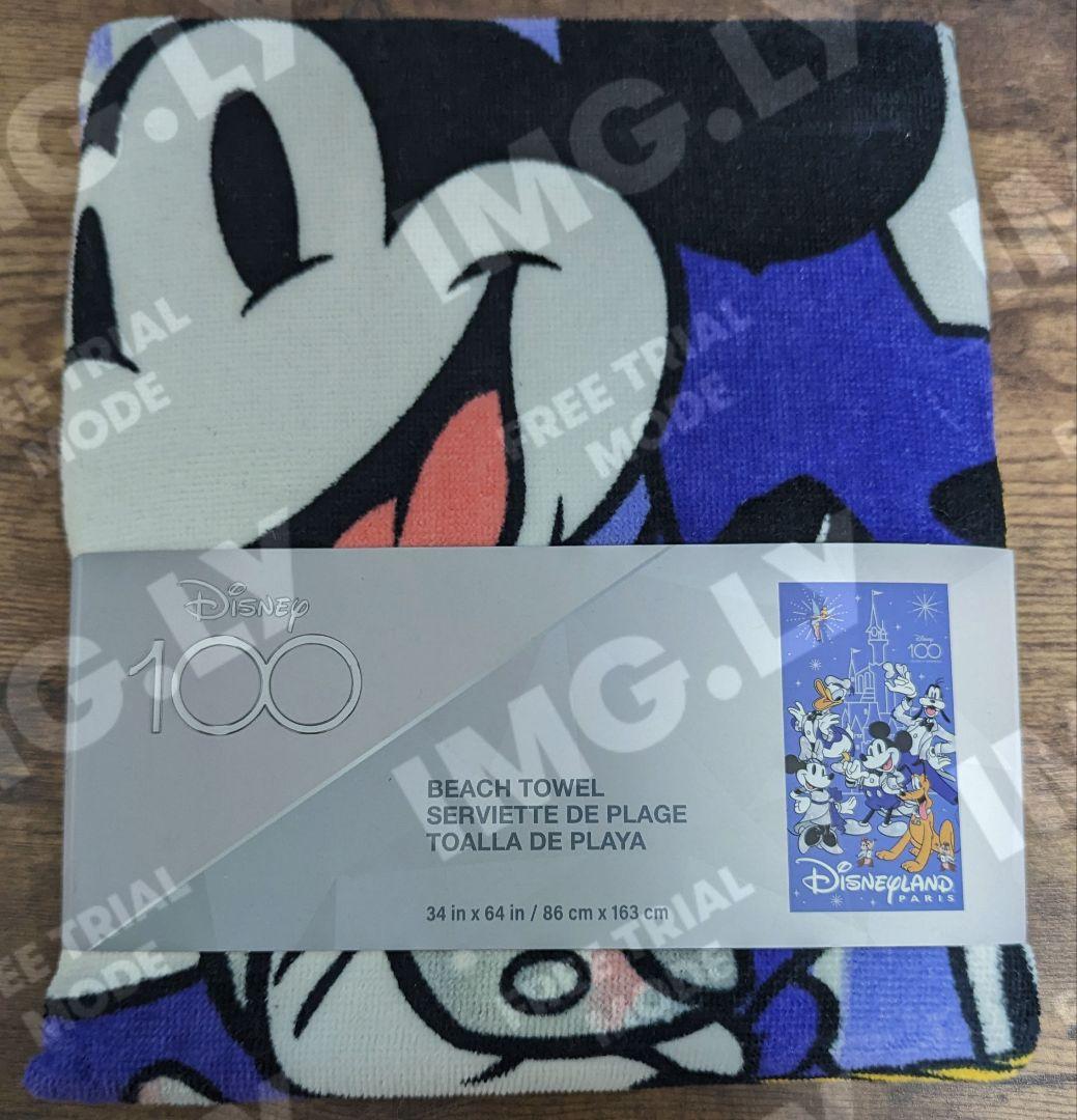 【新品未使用】DisneyLandPARIS ビーチタオル