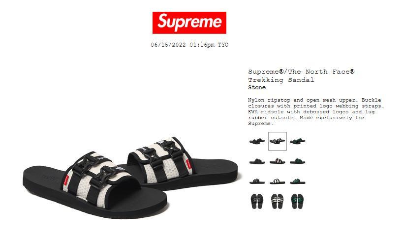 Supreme TheNorthFace Trekking Sandal 28