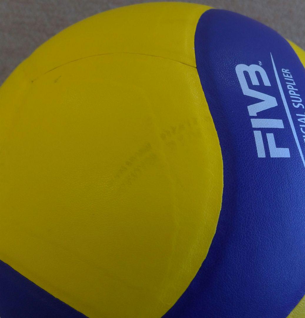 [期間限定]バレーボール トレーニングボール 5号 1kg