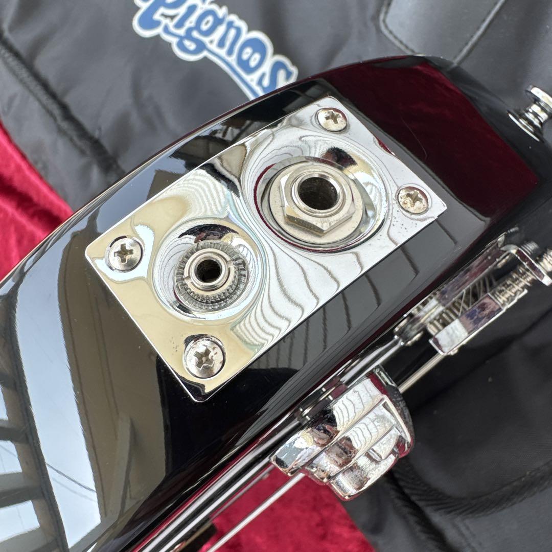 美品 メンテ済 PIGNOSE PGG-200 アンプ内蔵ミニギター トラベル