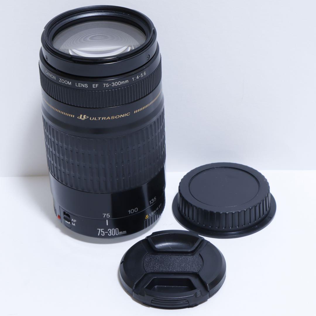 ◇超望遠&高速AF◇Canon純正 75-300mm I 超望遠レンズ!!◇