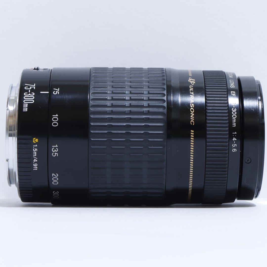 ◇超望遠&高速AF◇Canon純正 75-300mm I 超望遠レンズ!!◇