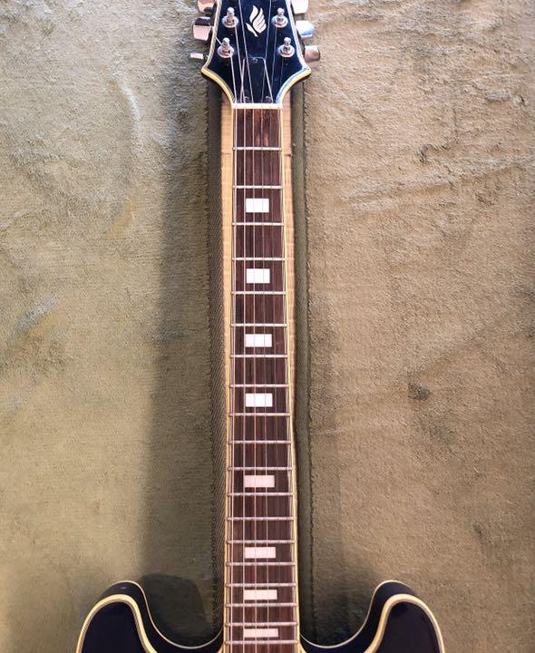 Aria Pro II TA62C エレキギター　セミアコ　音綺麗