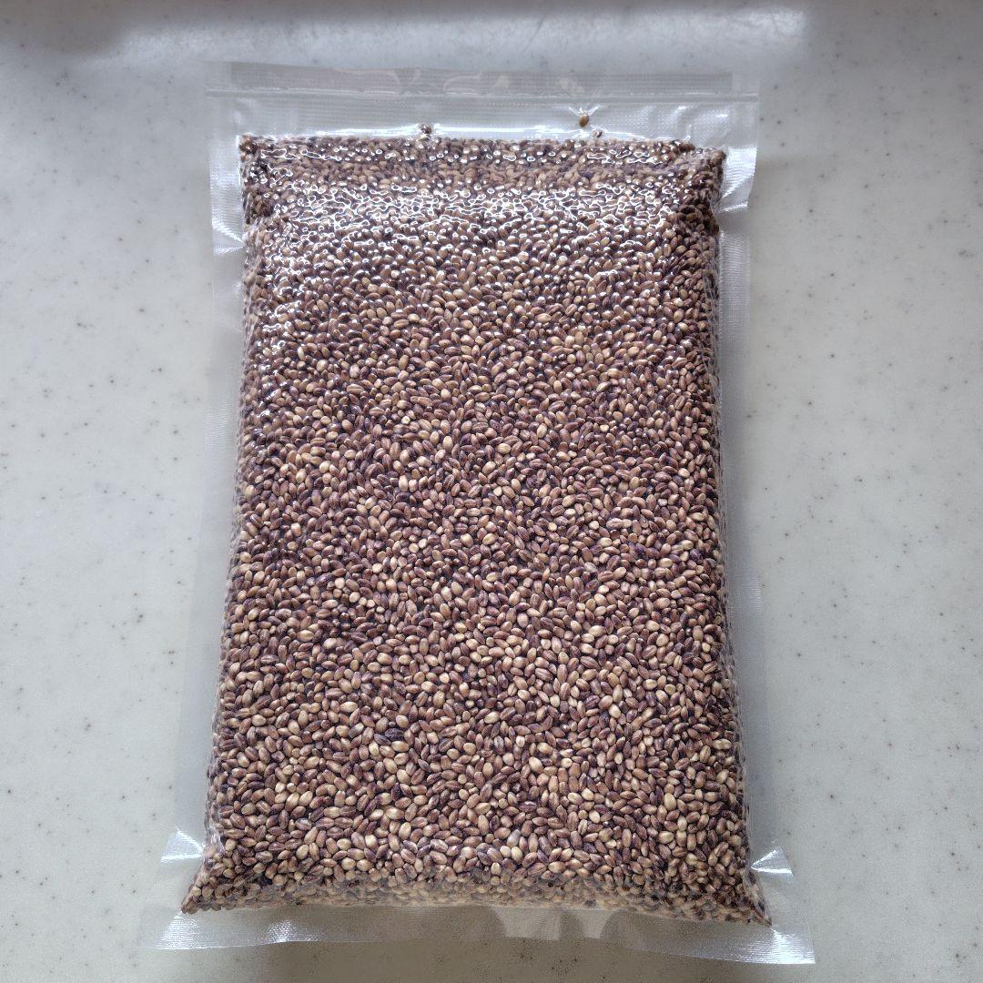 GenkiAethelwulf もち麦7kg 紫もち麦 食べやすく精麦済