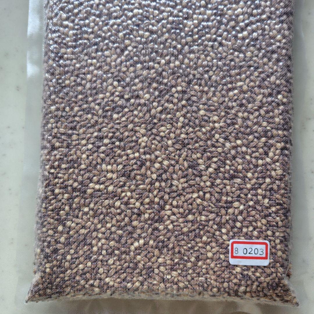 GenkiAethelwulf もち麦7kg 紫もち麦 食べやすく精麦済