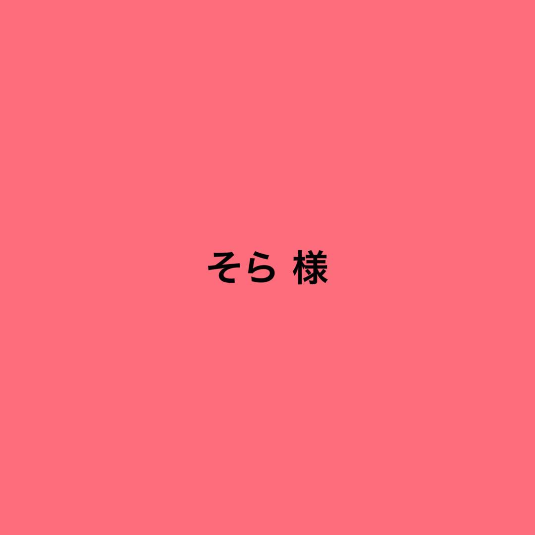 ♬•*¨*•. そら☪️さま 専用ページ•*¨*•.¸♬︎ そら様 専用 - メルカリ