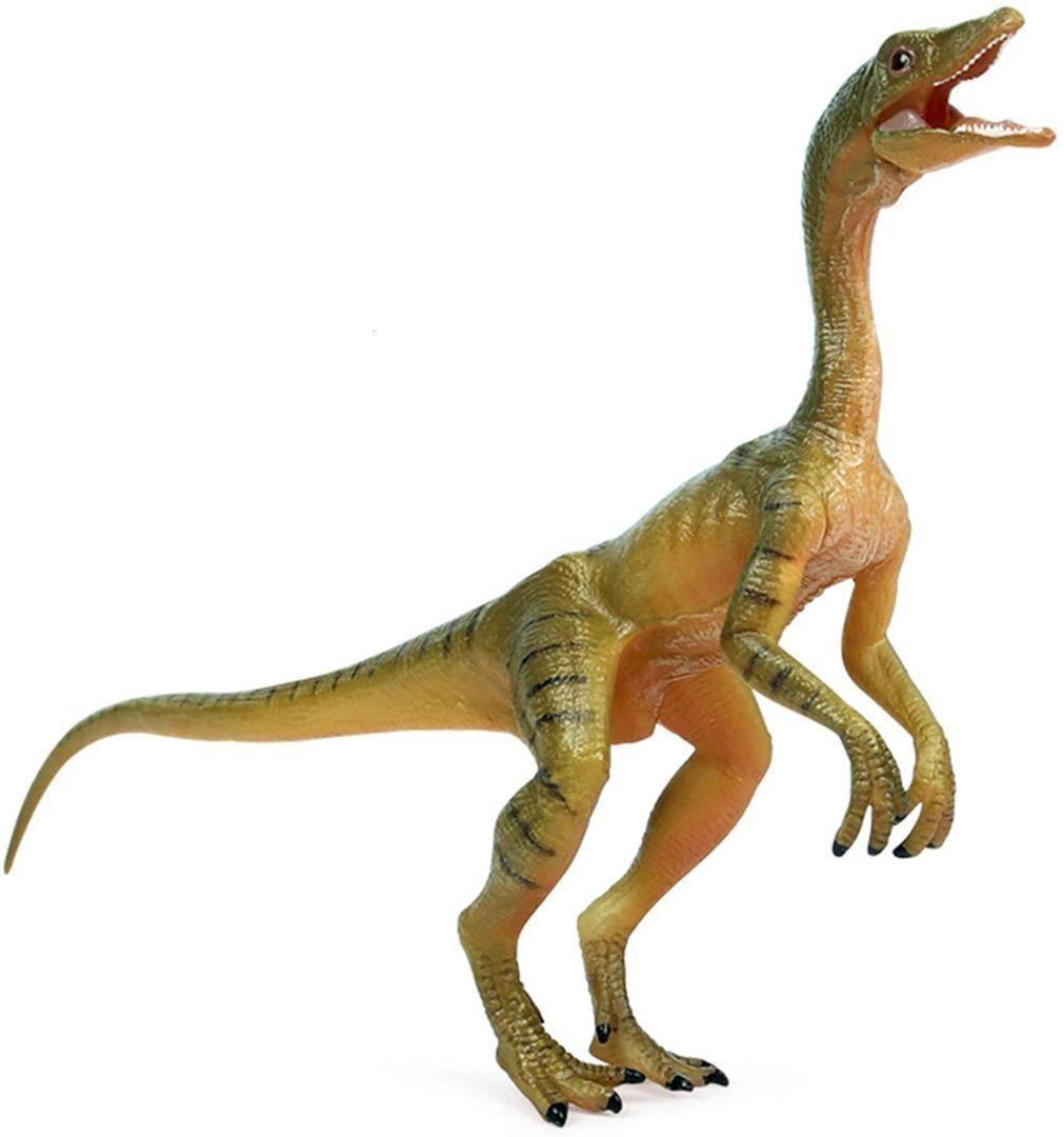 Amazon.co.jp: Dino Dream 1/5 サイズ 2点セット オスの