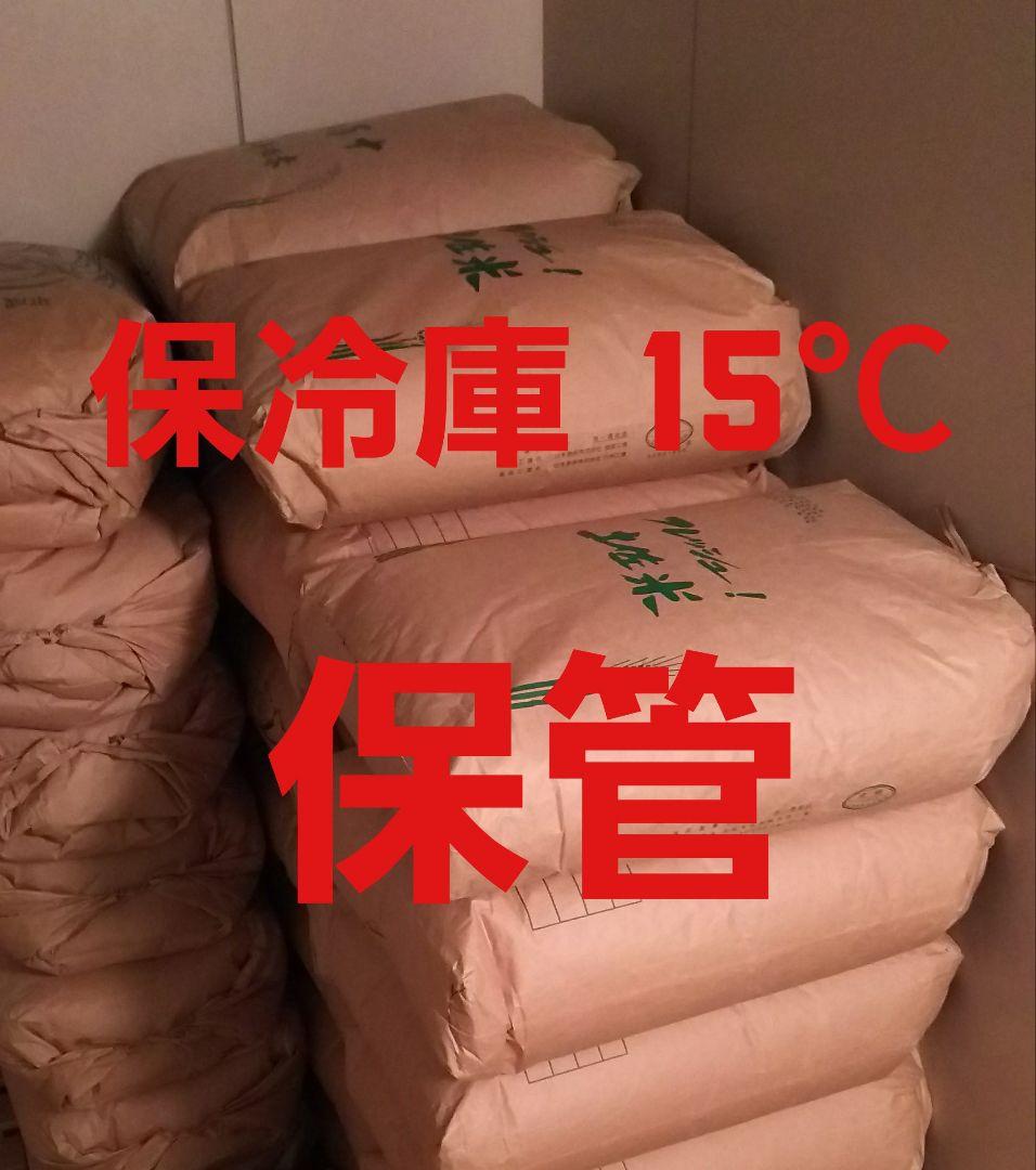 真理亜様専用 送料込み 令和5年産 高知県産 新米コシヒカリ玄米